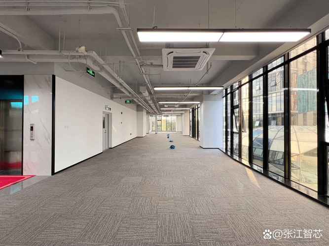 上海浦东机器人产业园有何核心优势？-第2张图片-广州国自机器人