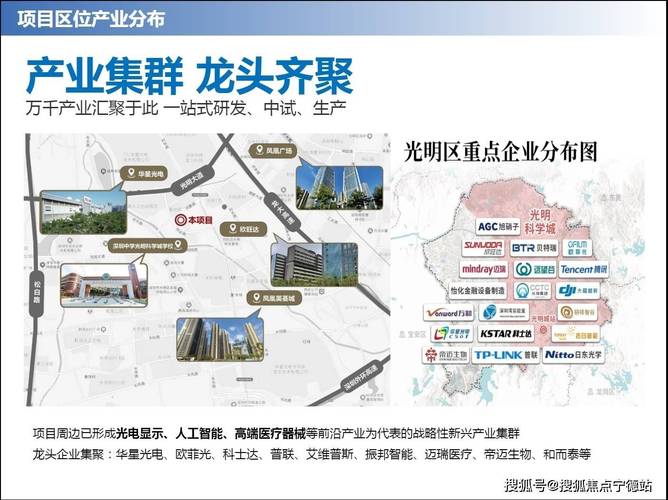 龙华人工智能产业规划-第1张图片-广州国自机器人