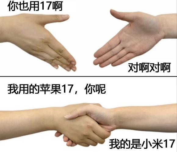 小米与苹果的AI，谁更胜一筹？-第2张图片-广州国自机器人