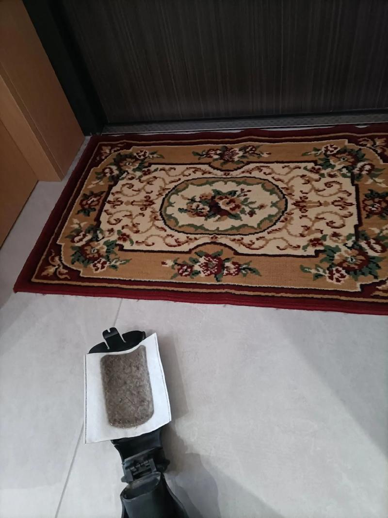 吸尘器与机器人，哪个更适合你家？-第2张图片-广州国自机器人