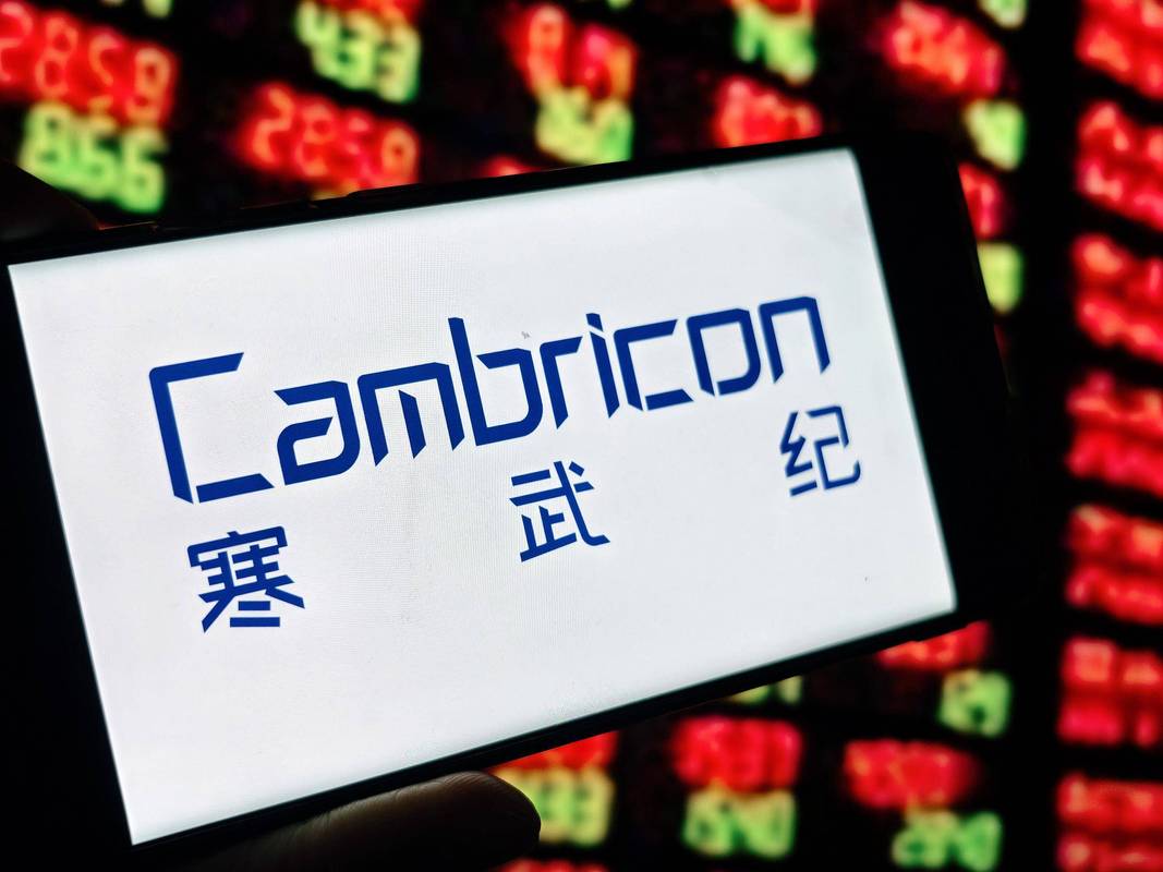 寒武纪智能机器人融资多少？-第1张图片-广州国自机器人