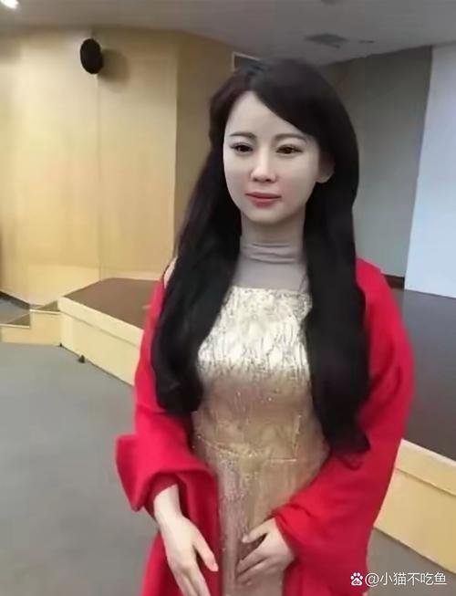 中国机器人佳佳真的会走吗？-第1张图片-广州国自机器人