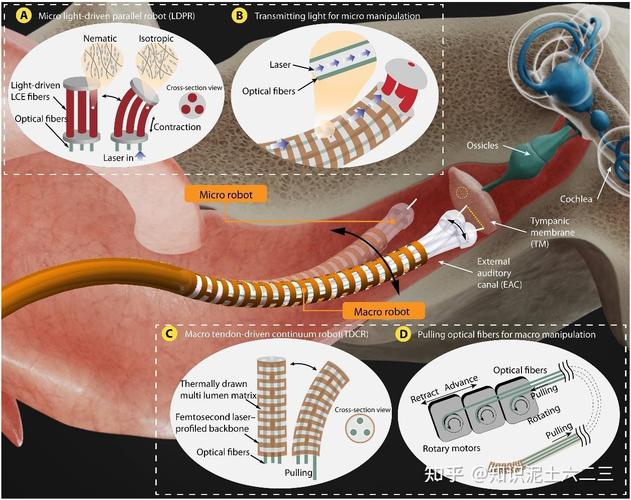 微型机器人有何实际应用价值？-第1张图片-广州国自机器人