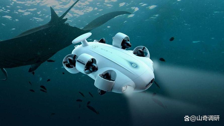 AI如何赋能海洋搜救？-第3张图片-广州国自机器人
